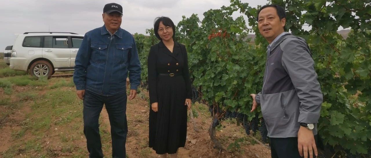 香港正版资料全年资料